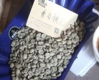危地马拉SL28咖啡豆烘焙与风味|瓜亚博/番石榴平原庄园