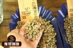 牙买加咖啡产地庄园有哪些 牙买加咖啡单品豆庄园介绍