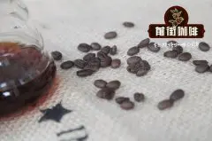 巴拿马咖啡花蝴蝶咖啡豆介绍