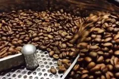 咖啡里的瑕疵豆都有什么？咖啡豆应该怎么挑？