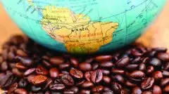 在哪里可以买到绿咖啡豆？什么样的咖啡豆最好？