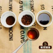 什么是精品咖啡？世界不同地域精品咖啡的不同风味的咖啡特点