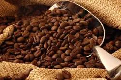 产量过多也是问题，阿拉比卡咖啡暴跌至13年最低！