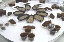 咖啡年产值750亿日商设最大烘豆厂在云林