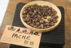 危地马拉新东方小蓝莓庄园帕奇PACHE咖啡风味特点介绍