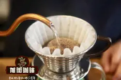 牙买加蓝山一号咖啡豆手冲温度研磨度粉水比建议 蓝山咖啡风味描