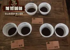 印尼咖啡的处理法介绍 苏门答腊托巴湖上选曼特宁应该怎么喝