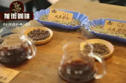 耶加雪菲咖啡豆手冲口感风味特点 耶加雪菲G1和G2区别和等级制度