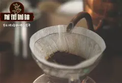 刚果咖啡有什么特点？刚果咖啡产区介绍 刚果梦加诺合作社介绍