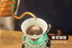 瑰夏村瑰夏咖啡介绍 瑰夏村瑰夏咖啡豆有什么风味特点？