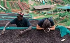 新兴精品咖啡产区推荐-非洲之心布隆迪长程咖啡计划有什么故事？