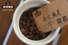 哥斯达黎加塔拉珠神父瑰夏水洗处理咖啡风味特点介绍