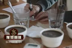 云南保山小粒咖啡是什么？云南小粒咖啡的主要载种品种是什么呢？