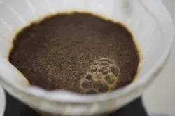 【手冲技巧】影响咖啡冲煮的关键因素：闷蒸_闷蒸应该怎么闷？