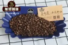 耶加雪菲荷芙莎合作社咖啡豆故事 耶加雪菲咖啡豆有什么风味特点