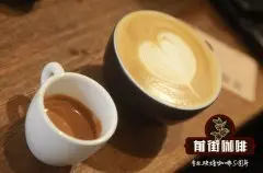 制作意式浓缩Espresso的标准是什么呢？意式浓缩咖啡应该怎么喝？