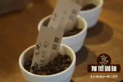 瑰夏村CHAKA批次咖啡到底适合什么样的烘焙程度呢？