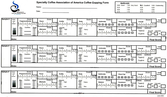 解读SCAA杯测表 | 如何进行咖啡品质评鉴Coffee Cupping？