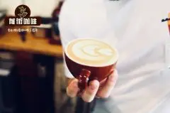 【咖啡认知】咖啡樱桃 咖啡豆果实构造 咖啡樱桃的结构