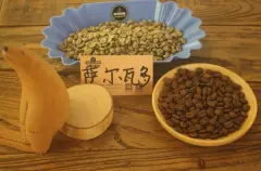 萨尔瓦多橄榄树庄园肯尼亚SL28咖啡豆品种风味特点口感介绍
