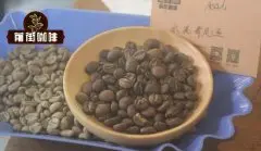 肯尼亚SL28咖啡品种介绍 肯尼亚SL28咖啡风味如何？SL28咖啡