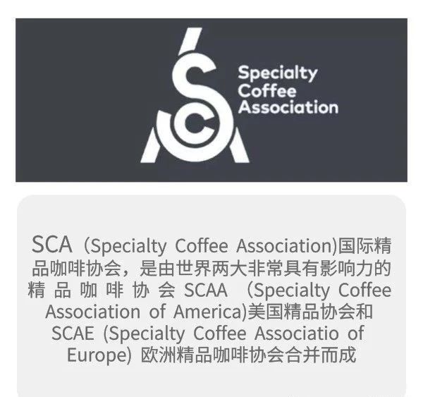 关于sca精品咖啡协会你了解多少 中国咖啡网