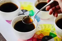 如何公平测量精品咖啡的风味？咖啡豆好坏到底谁说了算？