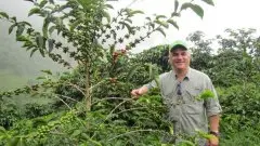中国哪里适合种植咖啡_北方种植咖啡可以吗_咖啡能在山东种植吗