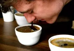 咖啡法压壶有什么作用_有哪些法压壶适合的咖啡豆推荐？