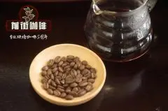 中国云南普洱大开河卡蒂姆小蜜蜂双重发酵日晒产区风味介绍