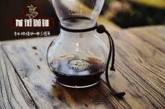 埃塞俄比亚古伎Nefas咖啡介绍 古伎咖啡豆风味特点 古伎咖啡是什