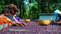 咖啡产区 |埃塞俄比亚哈拉尔Harar狂野咖啡详解