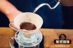 适合单品的咖啡豆|90＋庄园巴拿马巴鲁火山熊猫瑰夏介绍