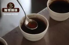 手冲单品咖啡风味口感特点 日式冰冲肯尼亚咖啡冲煮水温粉水比例
