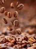 2020埃塞俄比亚咖啡豆需要关注的事件 咖啡豆收获量 产季时间