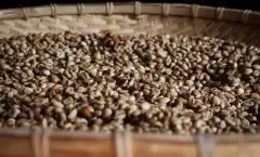 埃塞俄比亚谷吉罕贝拉的风味特点 布榖阿贝儿牡丹咖啡豆介绍