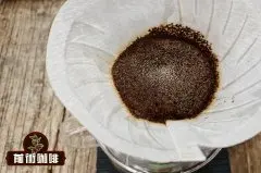 危地马拉薇薇特南果咖啡豆风味特点 伊斯纳尔庄园水洗咖啡豆