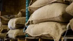 包装材质是怎么影响咖啡生豆的保存？ 咖啡生豆的包装材质介绍