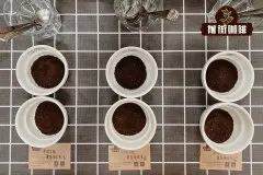 咖啡杯测需要准备的道具 咖啡杯测的步骤
