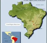 巴西米纳斯吉拉斯州咖啡产区特点 巴西喜拉朵咖啡风味介绍