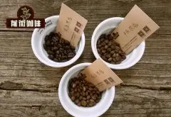 阿拉比卡精品咖啡豆浅度烘焙中度烘焙深度烘焙风味特点有什么不同
