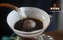 哥伦比亚考卡山谷玛优卡庄园介绍 考卡种植最多的咖啡品种是什么