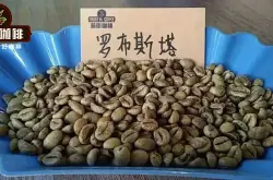 罗布斯塔咖啡品种风味口感特点 罗布斯塔咖啡豆的生长及环境
