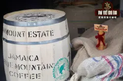 正宗牙买加蓝山一号咖啡豆故事风味口感特点 如何辨别真假蓝山咖啡品牌