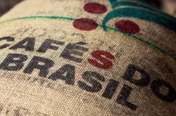 巴西咖啡豆等级与特点 巴西南米纳斯产区波旁咖啡豆冲煮水温手法