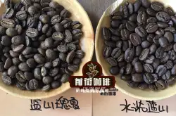 蓝山咖啡生豆分级 蓝山瑰夏咖啡的风味特点是什么？
