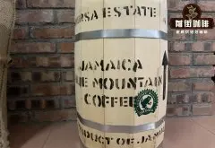 牙买加首次推出蓝山瑰夏咖啡 蓝山瑰夏咖啡冲煮分享和风味描述