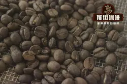 埃塞俄比亚咖啡产区 耶加雪菲与西达摩咖啡豆特点风味口感区别