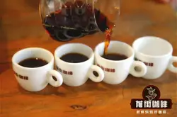 西达摩咖啡分级制度特点 埃塞俄比亚咖啡豆G1、G2是什么等级