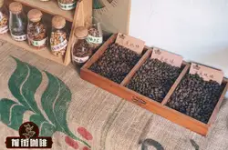 咖啡豆三大处理法风味上区别口感品种特点产地区研磨刻度